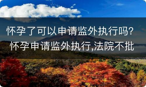 怀孕了可以申请监外执行吗？ 怀孕申请监外执行,法院不批