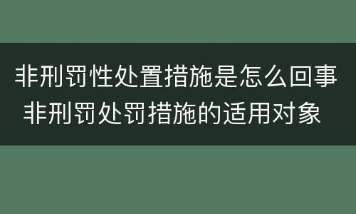非刑罚性处置措施是怎么回事 非刑罚处罚措施的适用对象