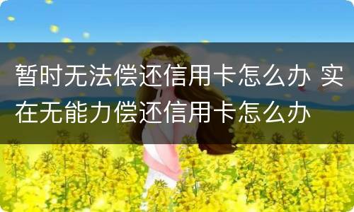 暂时无法偿还信用卡怎么办 实在无能力偿还信用卡怎么办