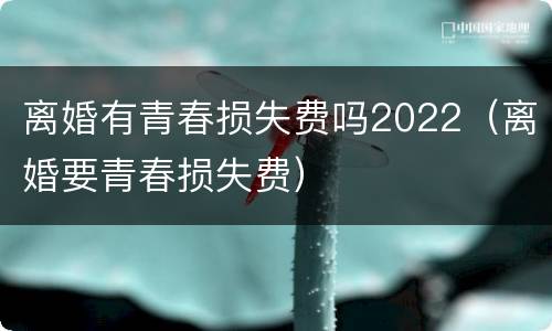 离婚有青春损失费吗2022（离婚要青春损失费）