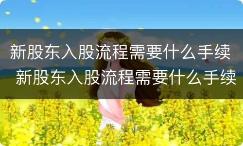 新股东入股流程需要什么手续 新股东入股流程需要什么手续和条件