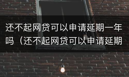 还不起网贷可以申请延期一年吗（还不起网贷可以申请延期一年吗）