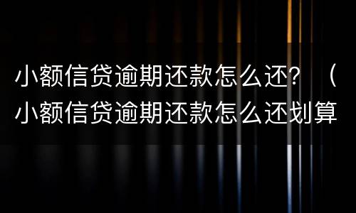 小额信贷逾期还款怎么还？（小额信贷逾期还款怎么还划算）