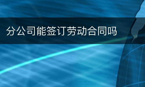 分公司能签订劳动合同吗