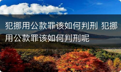 犯挪用公款罪该如何判刑 犯挪用公款罪该如何判刑呢