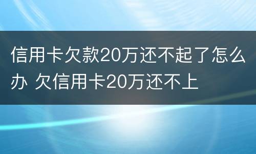 信用卡欠款20万还不起了怎么办 欠信用卡20万还不上