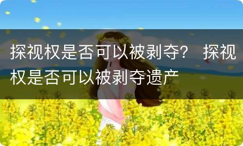 探视权是否可以被剥夺？ 探视权是否可以被剥夺遗产