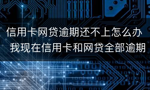 信用卡网贷逾期还不上怎么办 我现在信用卡和网贷全部逾期还不起了怎么办