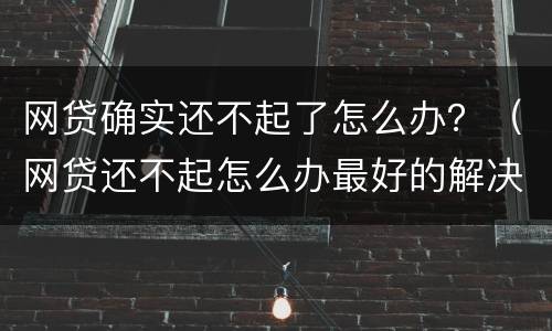 网贷确实还不起了怎么办？（网贷还不起怎么办最好的解决办法）