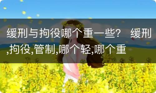 缓刑与拘役哪个重一些？ 缓刑,拘役,管制,哪个轻,哪个重