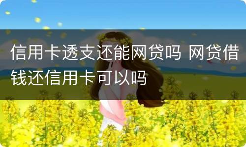 信用卡透支还能网贷吗 网贷借钱还信用卡可以吗