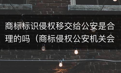 商标标识侵权移交给公安是合理的吗（商标侵权公安机关会抓人吗）
