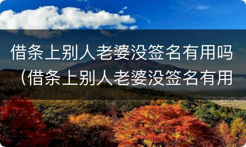 借条上别人老婆没签名有用吗（借条上别人老婆没签名有用吗怎么办）