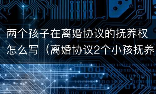 两个孩子在离婚协议的抚养权怎么写（离婚协议2个小孩抚养权怎么写协议）