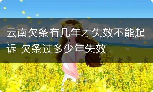 云南欠条有几年才失效不能起诉 欠条过多少年失效