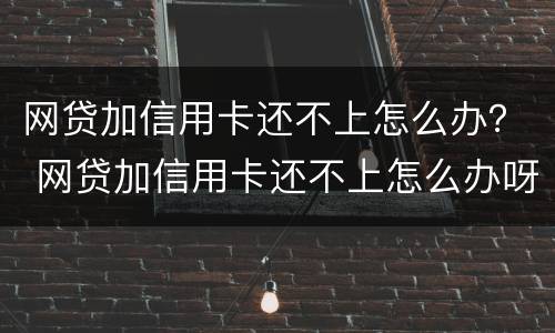 网贷加信用卡还不上怎么办？ 网贷加信用卡还不上怎么办呀