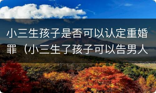 小三生孩子是否可以认定重婚罪（小三生了孩子可以告男人重婚吗）