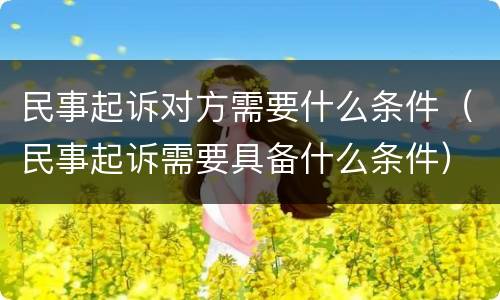 民事起诉对方需要什么条件（民事起诉需要具备什么条件）