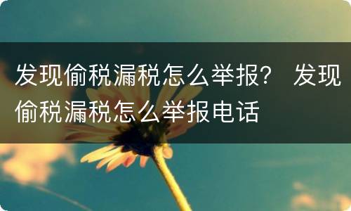 发现偷税漏税怎么举报？ 发现偷税漏税怎么举报电话