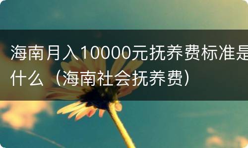 海南月入10000元抚养费标准是什么（海南社会抚养费）