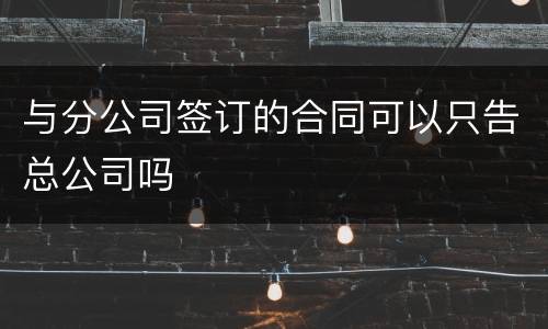 与分公司签订的合同可以只告总公司吗