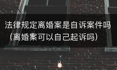 法律规定离婚案是自诉案件吗（离婚案可以自己起诉吗）