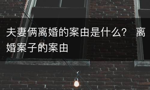 夫妻俩离婚的案由是什么？ 离婚案子的案由