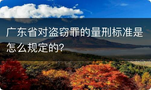 广东省对盗窃罪的量刑标准是怎么规定的？