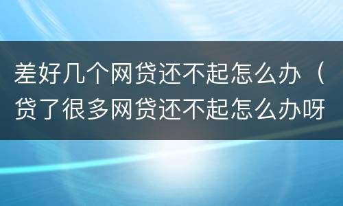 差好几个网贷还不起怎么办（贷了很多网贷还不起怎么办呀）