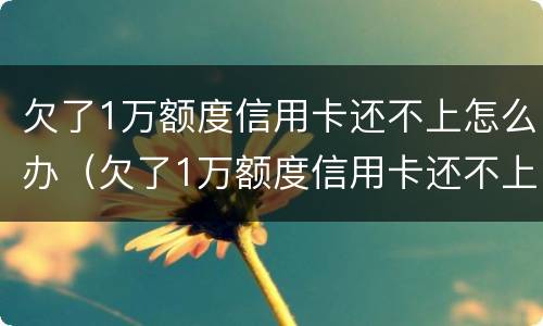 欠了1万额度信用卡还不上怎么办（欠了1万额度信用卡还不上怎么办呀）