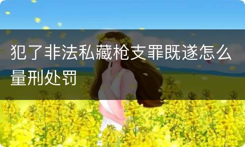 犯了非法私藏枪支罪既遂怎么量刑处罚