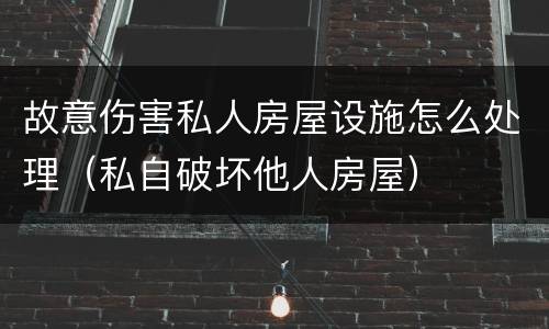 故意伤害私人房屋设施怎么处理（私自破坏他人房屋）