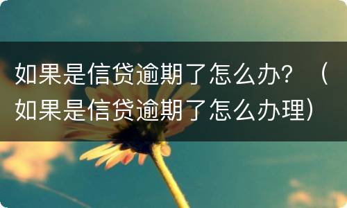 如果是信贷逾期了怎么办？（如果是信贷逾期了怎么办理）