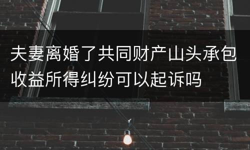 夫妻离婚了共同财产山头承包收益所得纠纷可以起诉吗