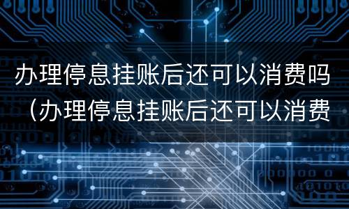 办理停息挂账后还可以消费吗（办理停息挂账后还可以消费吗怎么办）