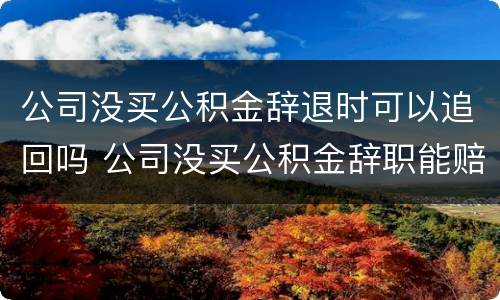 公司没买公积金辞退时可以追回吗 公司没买公积金辞职能赔偿多少