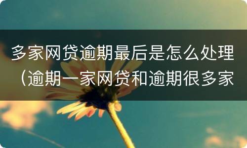 多家网贷逾期最后是怎么处理（逾期一家网贷和逾期很多家网贷的结果）