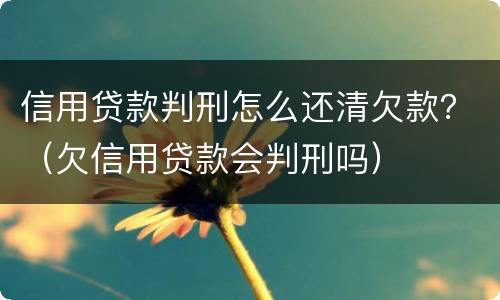 信用贷款判刑怎么还清欠款？（欠信用贷款会判刑吗）