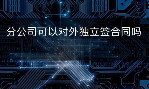 分公司可以对外独立签合同吗