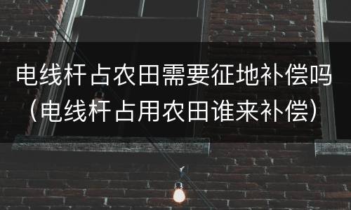 电线杆占农田需要征地补偿吗（电线杆占用农田谁来补偿）