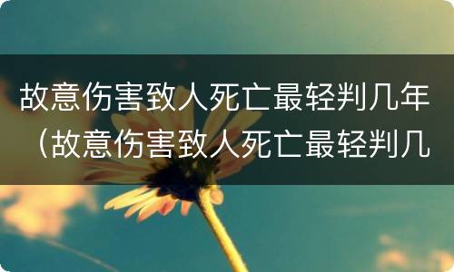 故意伤害致人死亡最轻判几年（故意伤害致人死亡最轻判几年缓刑）