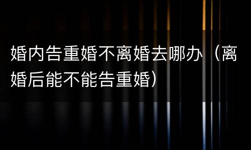 婚内告重婚不离婚去哪办（离婚后能不能告重婚）