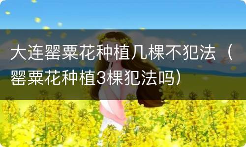 大连罂粟花种植几棵不犯法（罂粟花种植3棵犯法吗）
