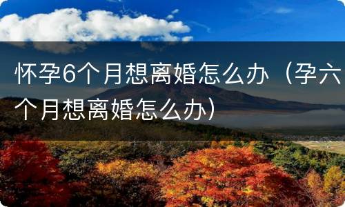 怀孕6个月想离婚怎么办（孕六个月想离婚怎么办）