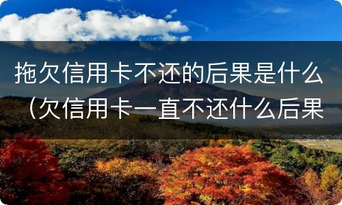 拖欠信用卡不还的后果是什么（欠信用卡一直不还什么后果）
