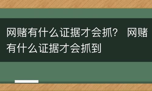 网赌有什么证据才会抓？ 网赌有什么证据才会抓到