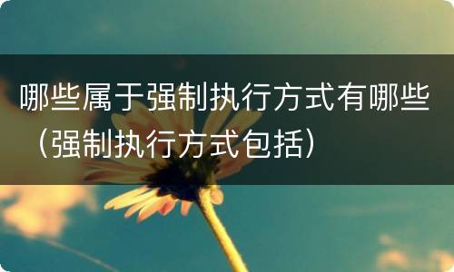 哪些属于强制执行方式有哪些（强制执行方式包括）
