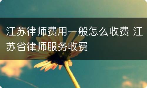 江苏律师费用一般怎么收费 江苏省律师服务收费