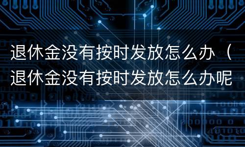退休金没有按时发放怎么办（退休金没有按时发放怎么办呢）