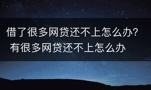 借了很多网贷还不上怎么办？ 有很多网贷还不上怎么办